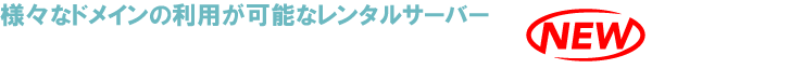 新gTLDも即日使えるレンタルサーバー レンタルサーバー「マイサーバー1000・3000」 